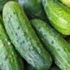 Fresh green cucumbers