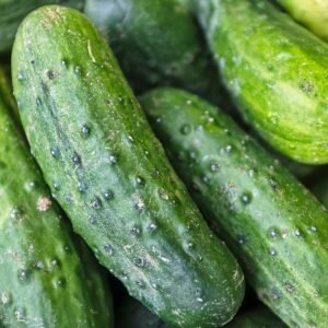 Fresh green cucumbers