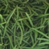 Pile of fresh green beans