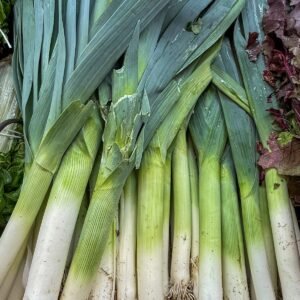 Fresh leeks on display