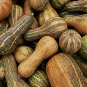 Pile of pumpkins and squash