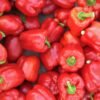 Red bell peppers