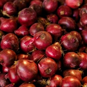 Pile of red onions