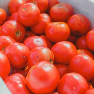 Fresh red tomatoes in a wholesale crate