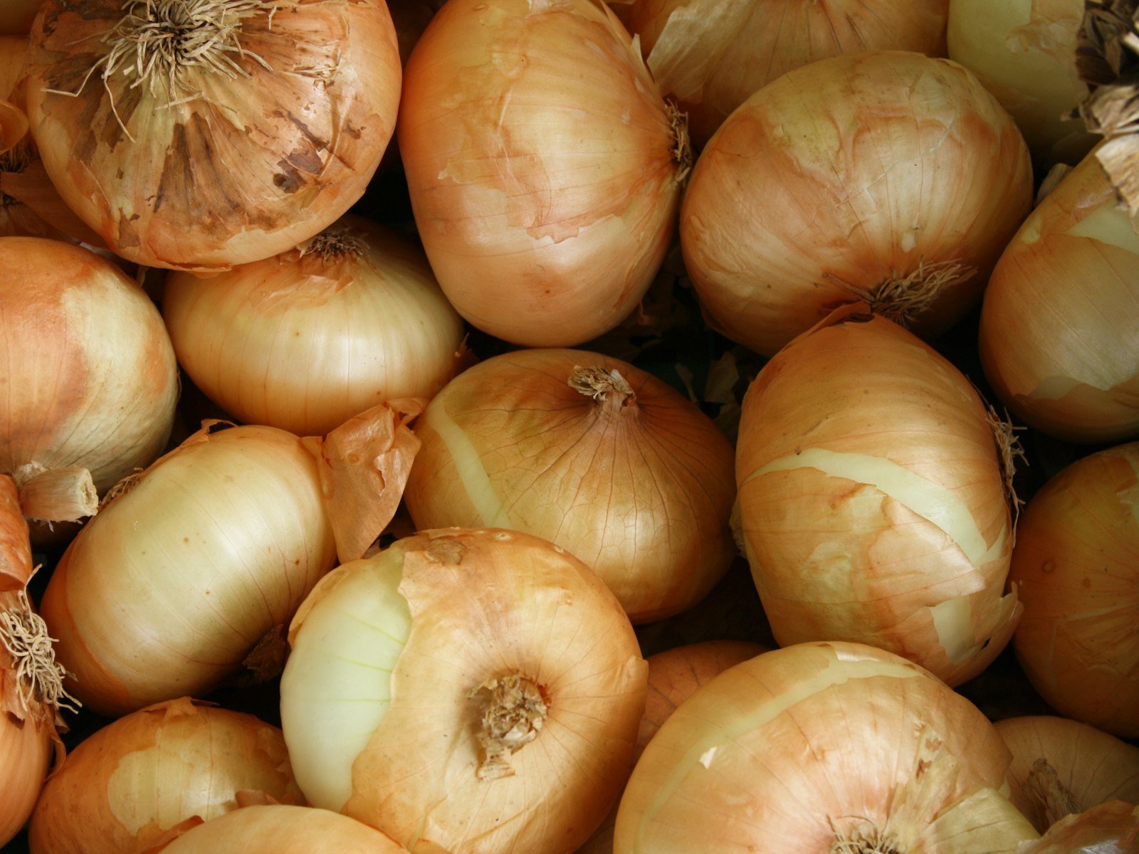 Yellow onions