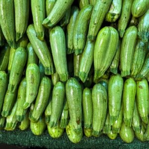 Fresh zucchini piled for sale