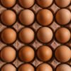 Brown chicken eggs on a moulded egg tray