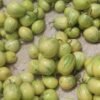 Fresh African garden eggs at the market