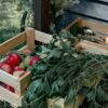Fresh apples in wooden crates