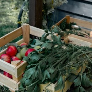 Fresh apples in wooden crates