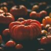 Large ribbed beefsteak tomatoes