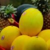Yellow canary melons