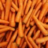 Pile of fresh topped carrots
