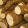 Fresh cassava roots with white flesh