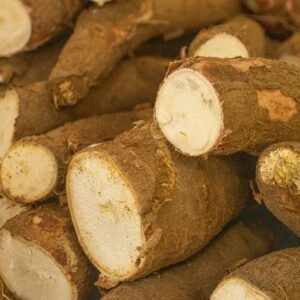 Fresh cassava roots with white flesh