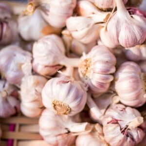 Pile of garlic bulbs