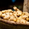 Basket of fresh ginger roots at a market