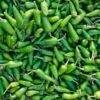 Pile of fresh green chili peppers