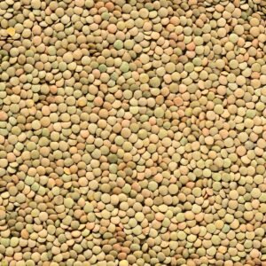 Pile of green lentils
