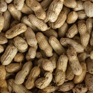 Pile of in-shell groundnuts