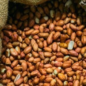 Burlap sack of raw groundnut kernels