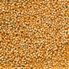 Pile of dried maize kernels
