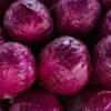 Pile of red cabbage heads