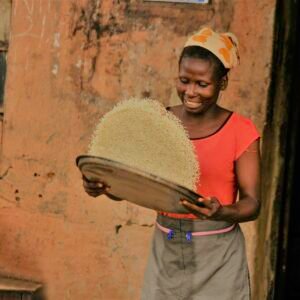 Woman winnowing rice with a basket