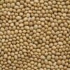 Pile of dried soybeans