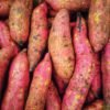 Pile of red-skinned sweet potatoes