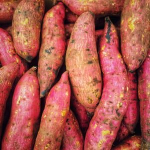 Pile of red-skinned sweet potatoes