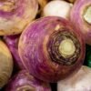 Fresh purple and white turnips