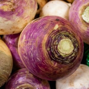 Fresh purple and white turnips