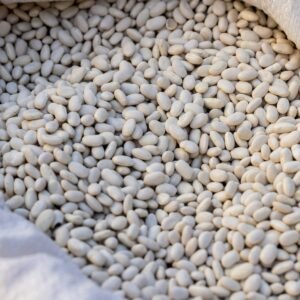 Sack of dried white beans