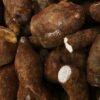 Pile of fresh African yams with white flesh